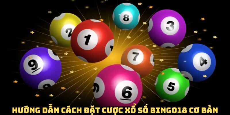 Chi tiết cách đặt cược khi tham gia xổ số Bingo18